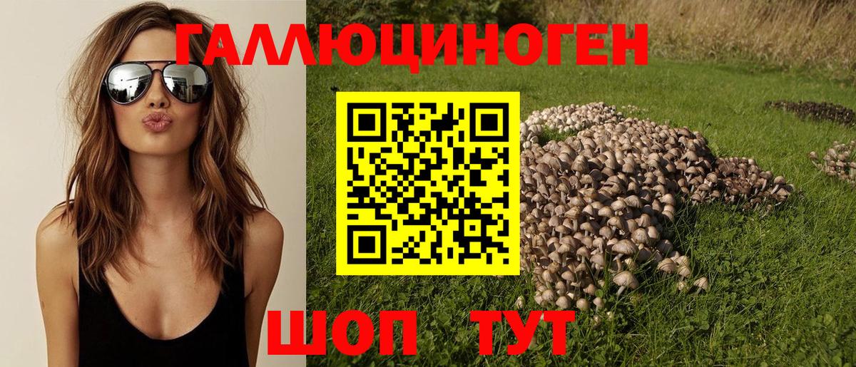 Галлюциногенные грибы Psilocybe  Вход с VPN  Дзержинский 