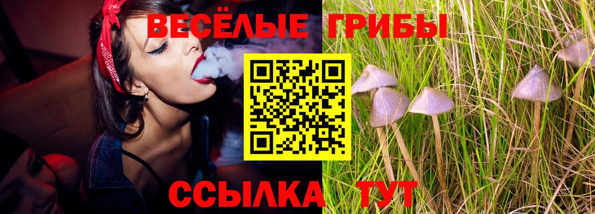 Галлюциногенные грибы Cubensis Дзержинский
